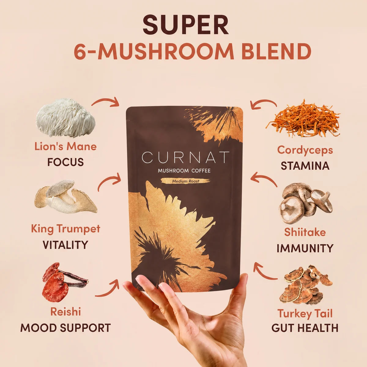 6-mushroom blend