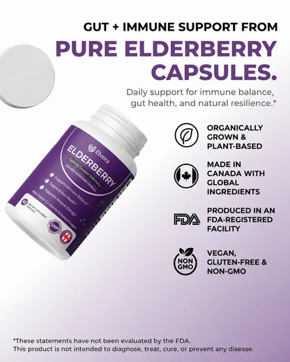 Elvera Gut Support Complex with Elderberry, Zinc & Vitamin C